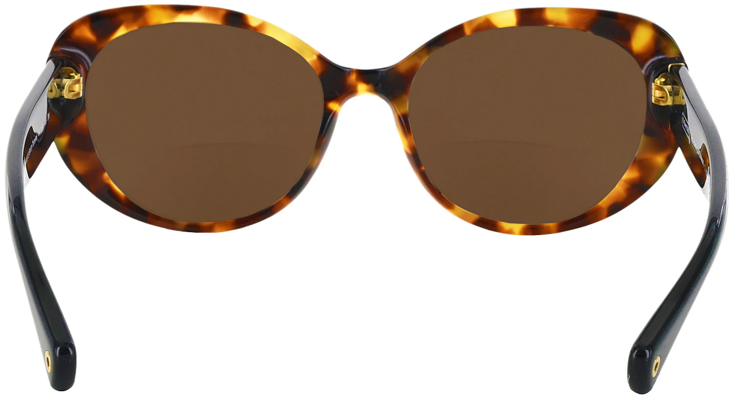 Coach 8049 Bifocal Reading Sunglasses - Image 4