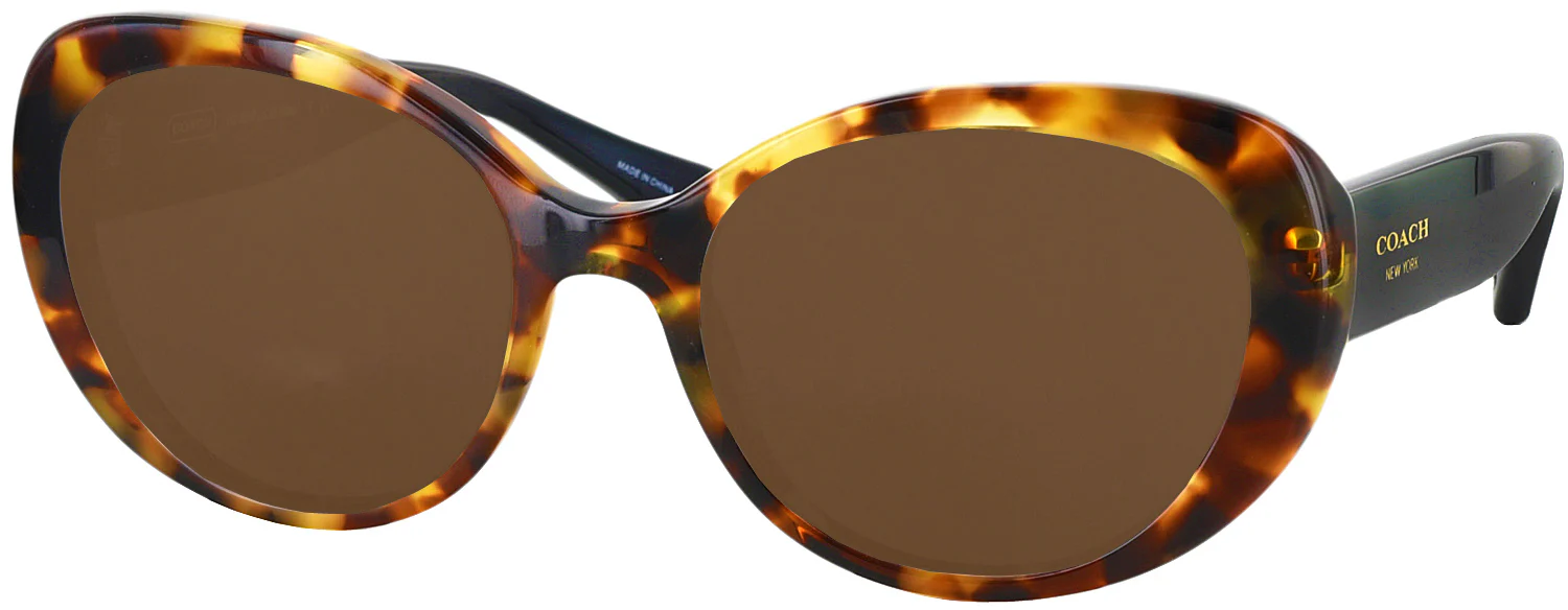 Coach 8049 Progressive No Line Reading Sunglasses - Image 5