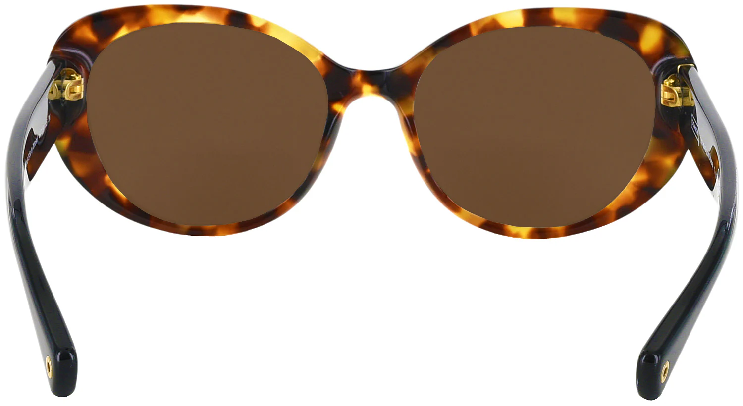 Coach 8049 Progressive No Line Reading Sunglasses - Image 8