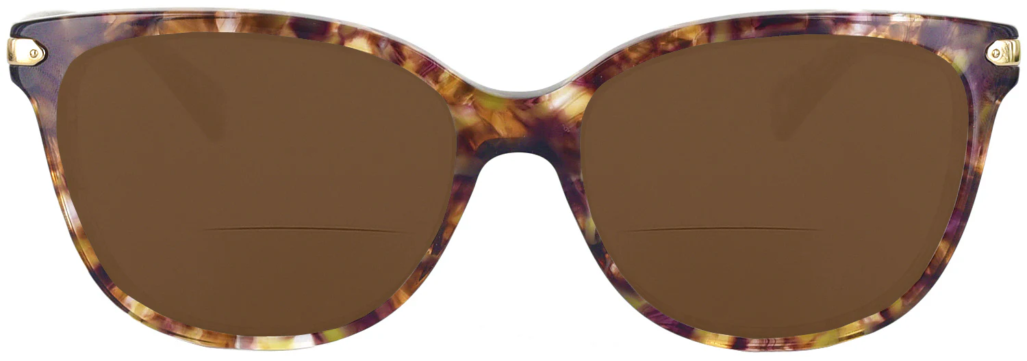 Coach 8132 Bifocal Reading Sunglasses - Image 30