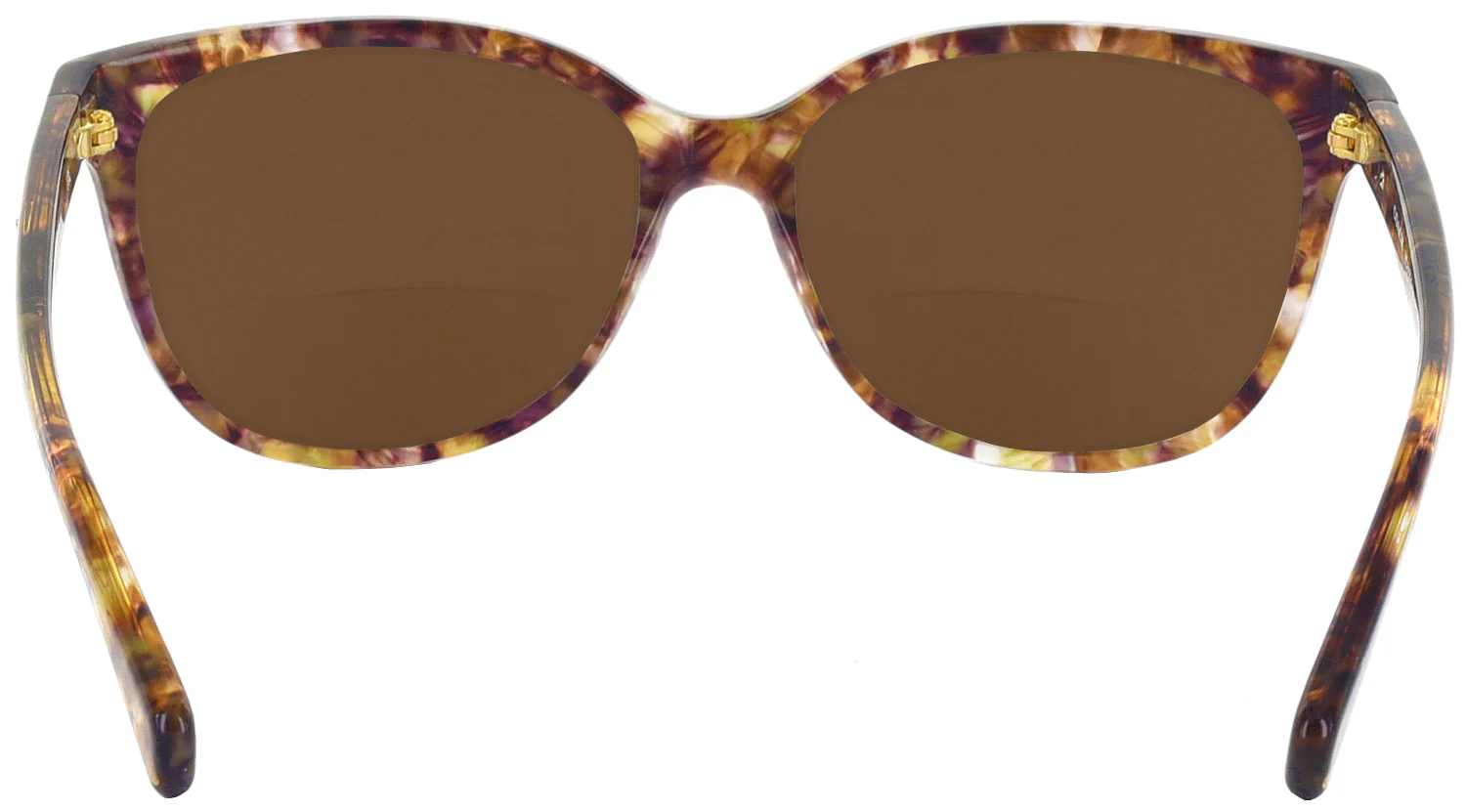 Coach 8132 Bifocal Reading Sunglasses - Image 32