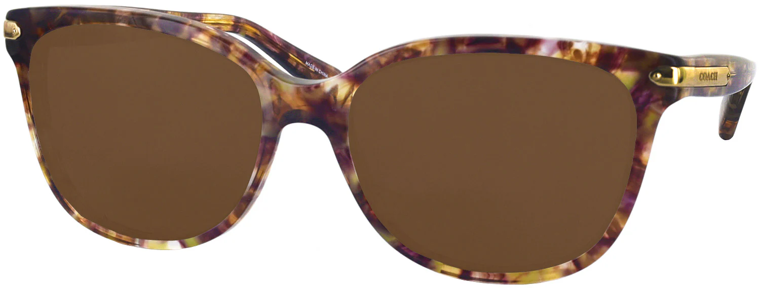 Coach 8132 Progressive Reading Sunglasses - Image 29