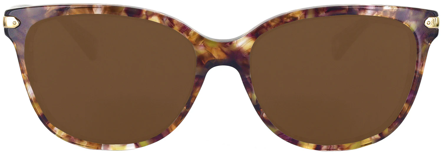 Coach 8132 Progressive Reading Sunglasses - Image 30