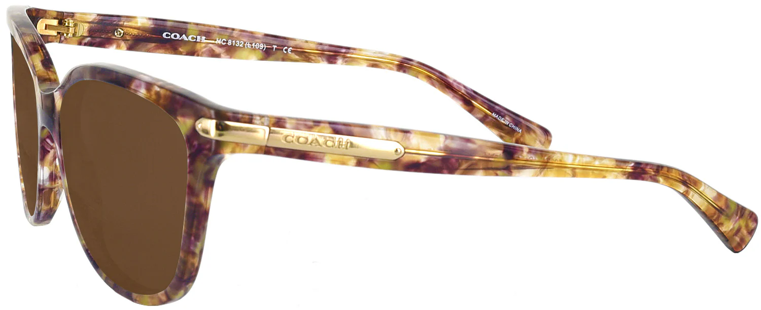 Coach 8132 Progressive Reading Sunglasses - Image 31