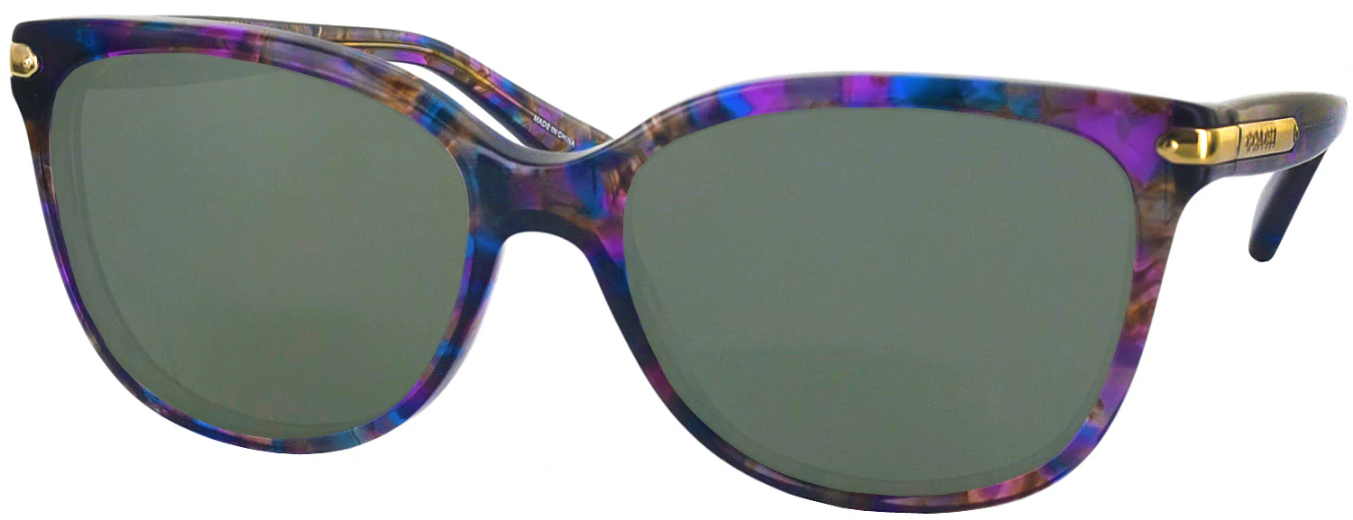 Coach 8132 Progressive Reading Sunglasses - Image 33
