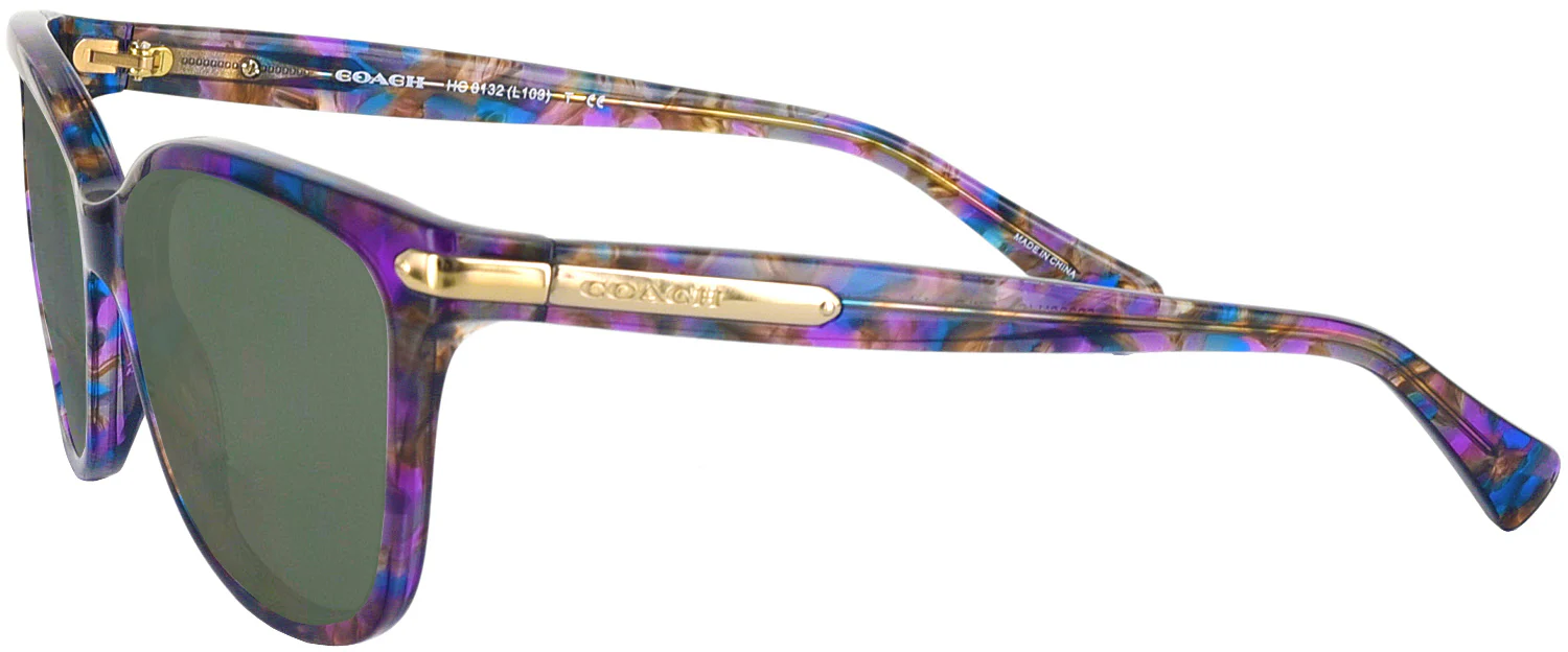 Coach 8132 Progressive Reading Sunglasses - Image 35