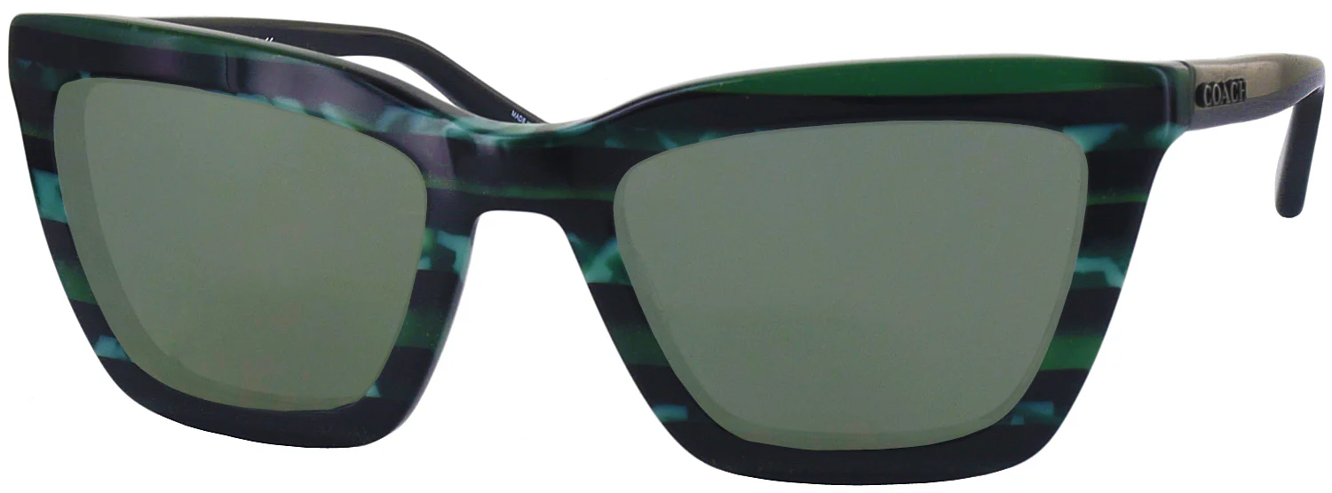 Coach 8203 Progressive Reading Sunglasses - Image 11