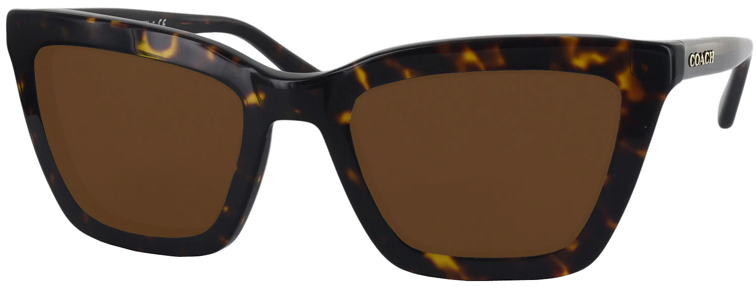 Coach 8203 Progressive Reading Sunglasses - Image 15