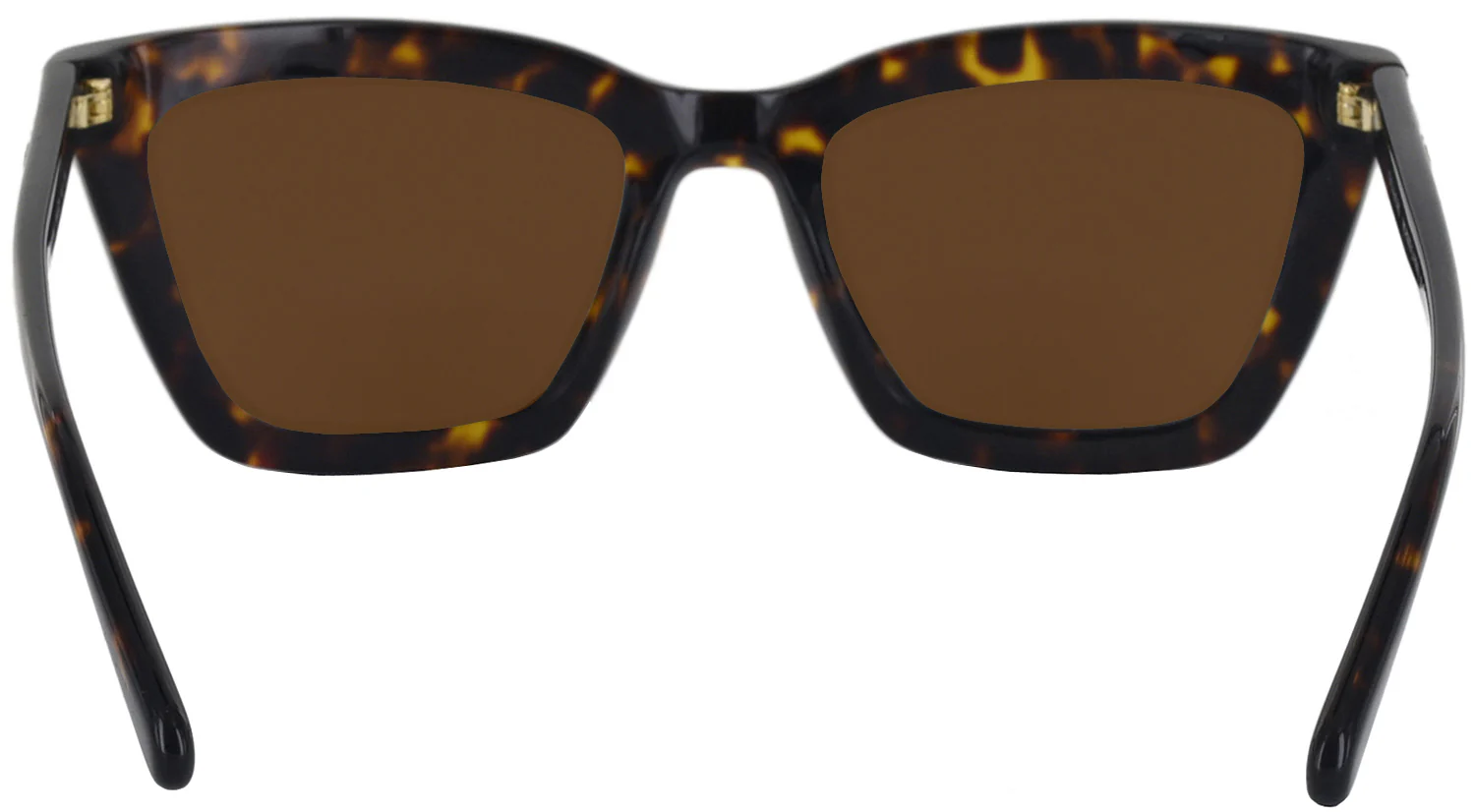 Coach 8203 Progressive Reading Sunglasses - Image 18
