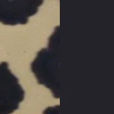 Dolce & Gabbana 3410 Progressive Reading Sunglasses - Image 7