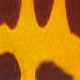 Edge Single Vision Full Frame - Image 9