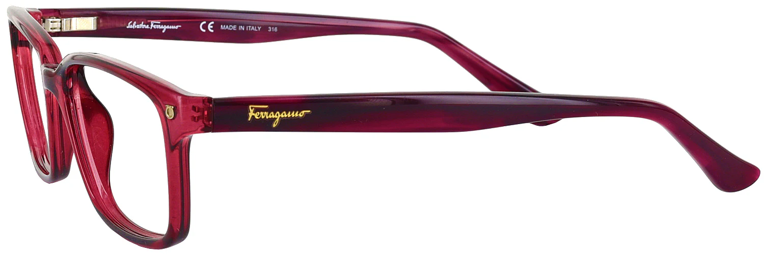 Ferragamo 2733 Computer Style Progressive - Image 3