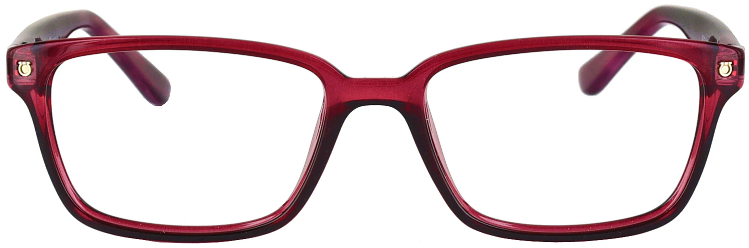Ferragamo 2733 Single Vision Full Frame - Image 2