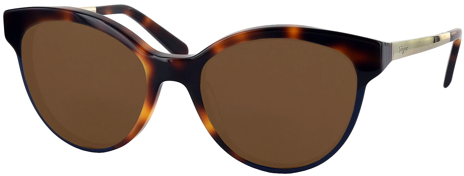 Ferragamo 2784 Progressive No Line Reading Sunglasses