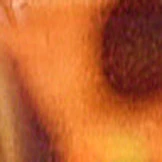 Foxy Single Vision Full Frame - Image 15