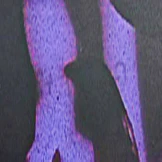 Goo Goo Eyes 934 Bifocal Reading Sunglasses - Image 27