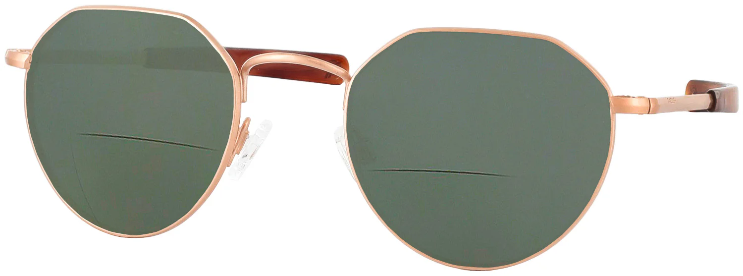 Hamilton 22K Bifocal Reading Sunglasses - Image 5