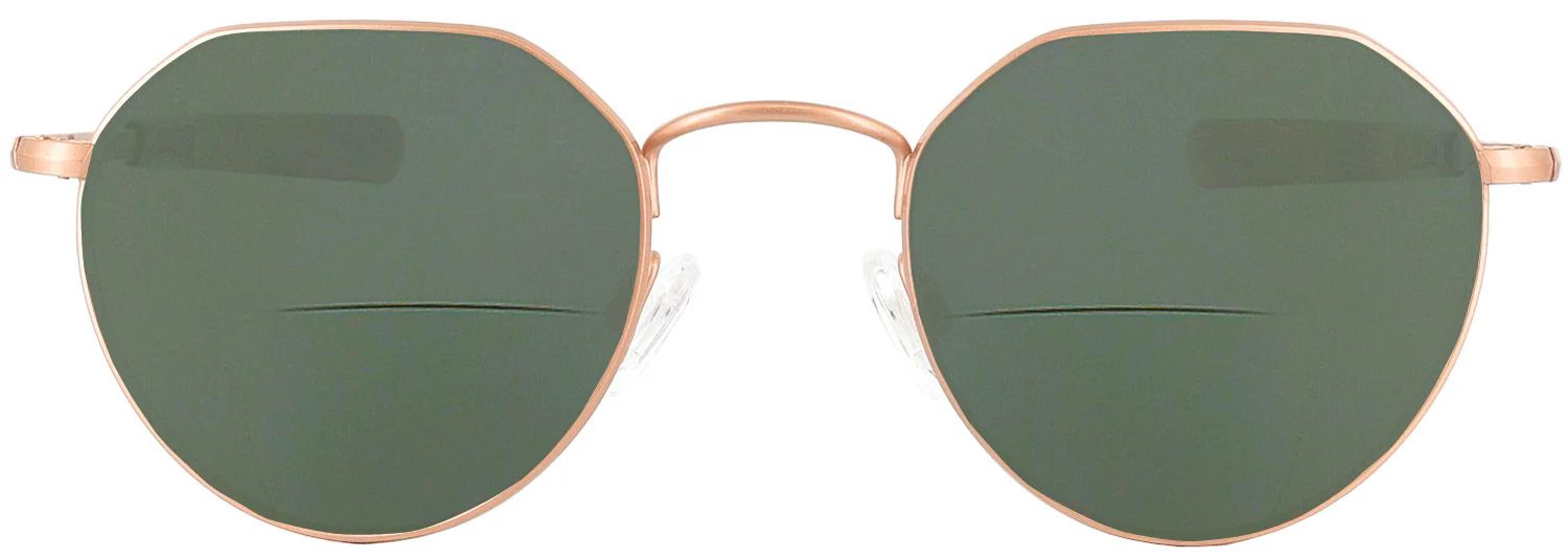 Hamilton 22K Bifocal Reading Sunglasses - Image 6