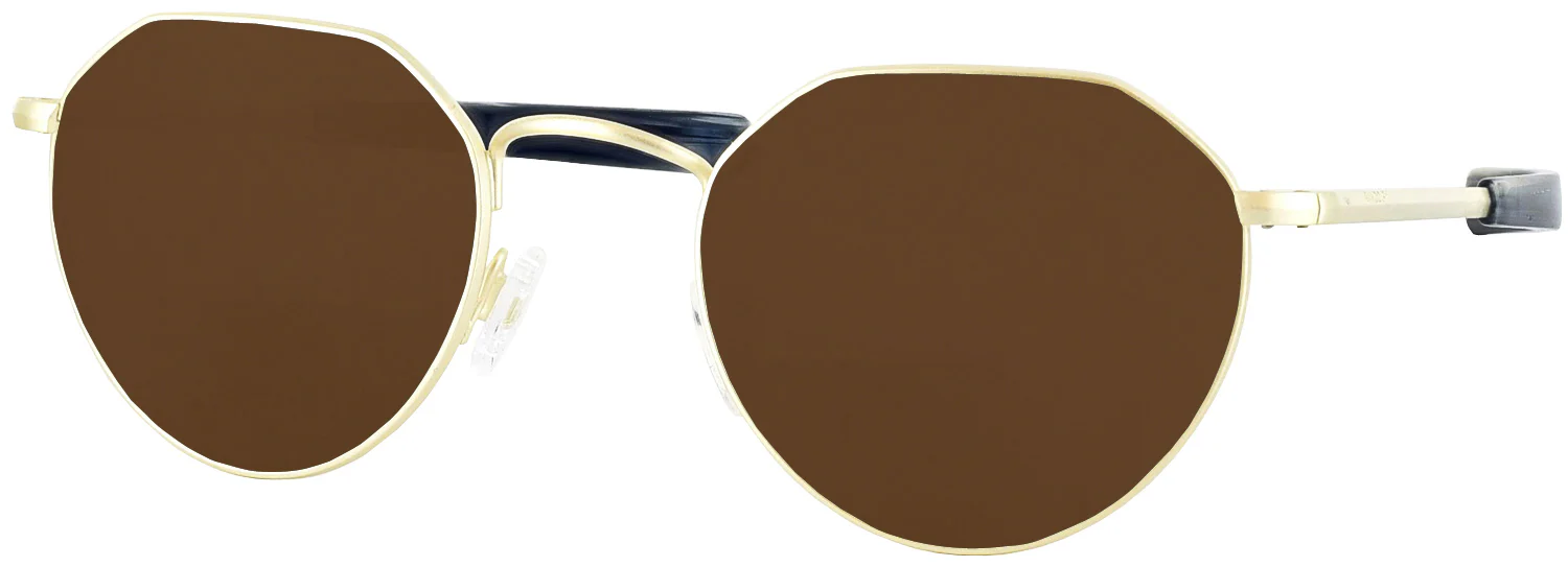 Hamilton 22K Progressive No Line Reading Sunglasses