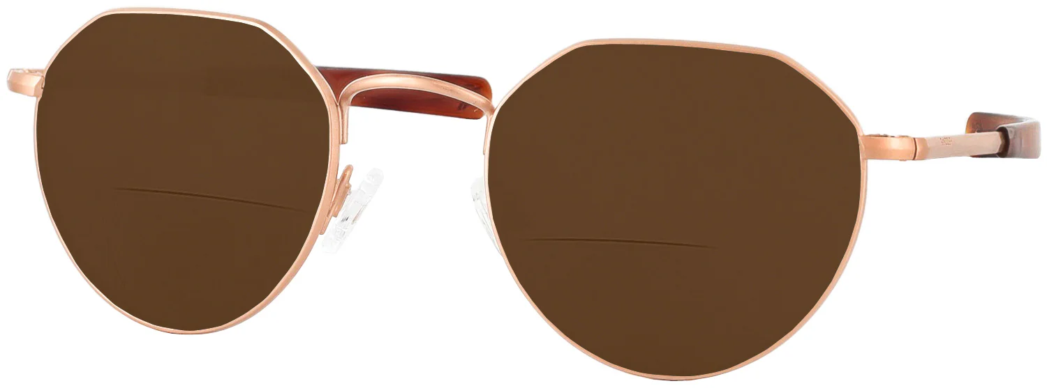 Hamilton 22K Progressive No Line Reading Sunglasses - Image 5