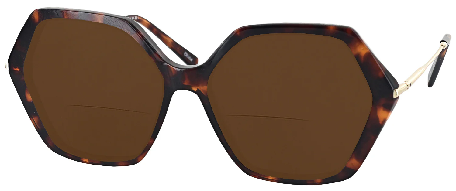 Iris Bifocal Reading Sunglasses - Image 18