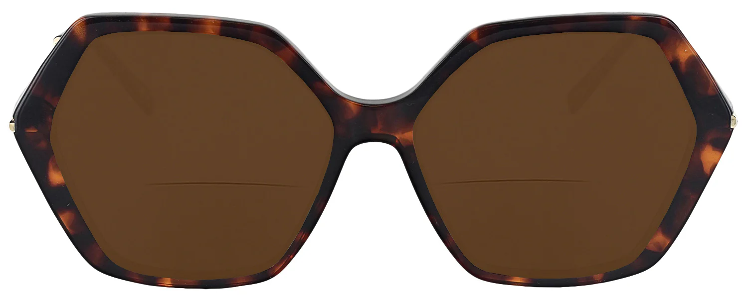 Iris Bifocal Reading Sunglasses - Image 19