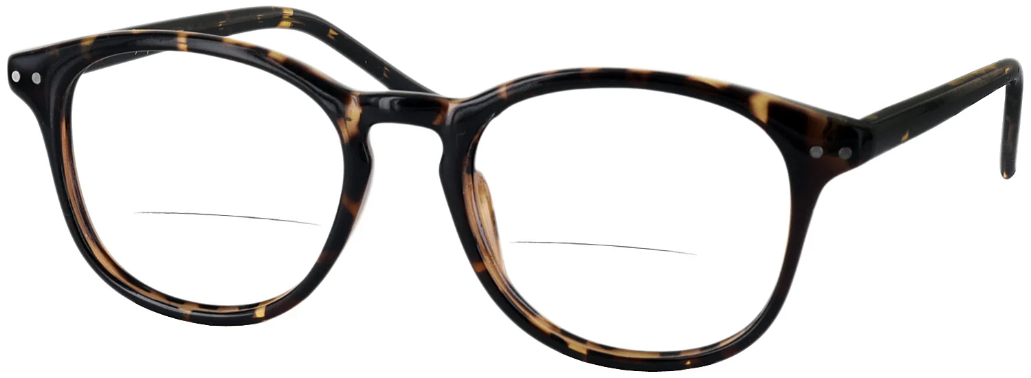 Ivy League Bifocal - Image 22
