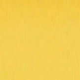Kala 906 w/ Gradient Progressive Reading Sunglasses - Image 5
