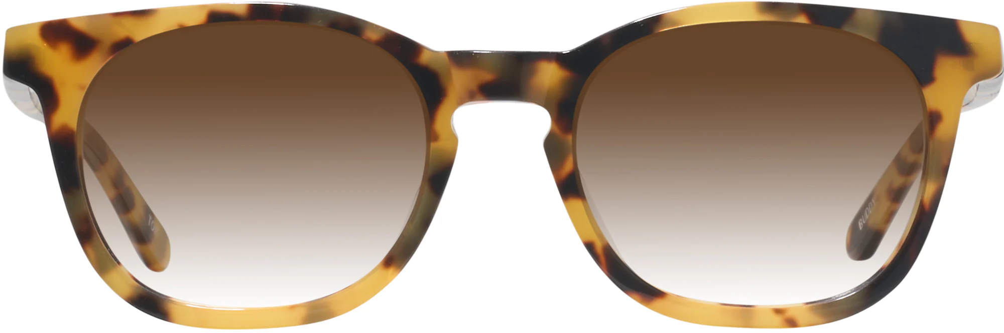 Kala Buddy w/ Gradient Progressive Reading Sunglasses - Image 5