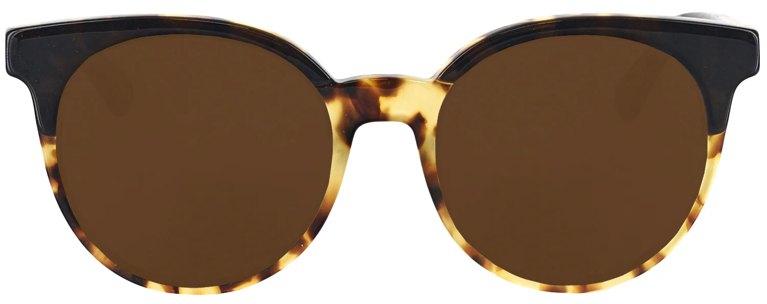 Kate Spade Abianne-S Progressive Reading Sunglasses - Image 16