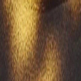 Kate Spade Demi/F Single Vision Full Frame - Image 5