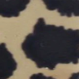 Kate Spade Jalena-S Single Vision Full Frame - Image 73