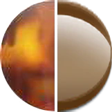 Maui Jim Alika 837 - Image 33