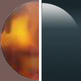 Maui Jim Heliconia 739 - Image 7