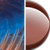 Maui Jim Honi 758 Bifocal Reading Sunglasses - Image 10