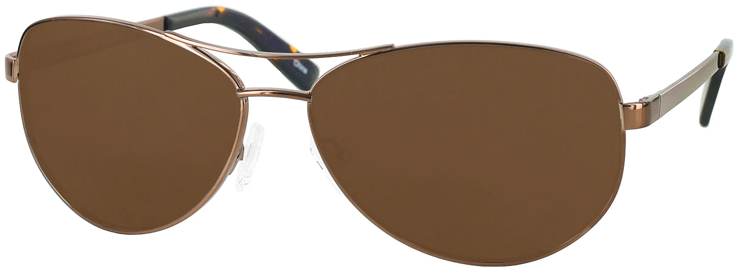 Millicent Bryce 140 Progressive No Line Reading Sunglasses