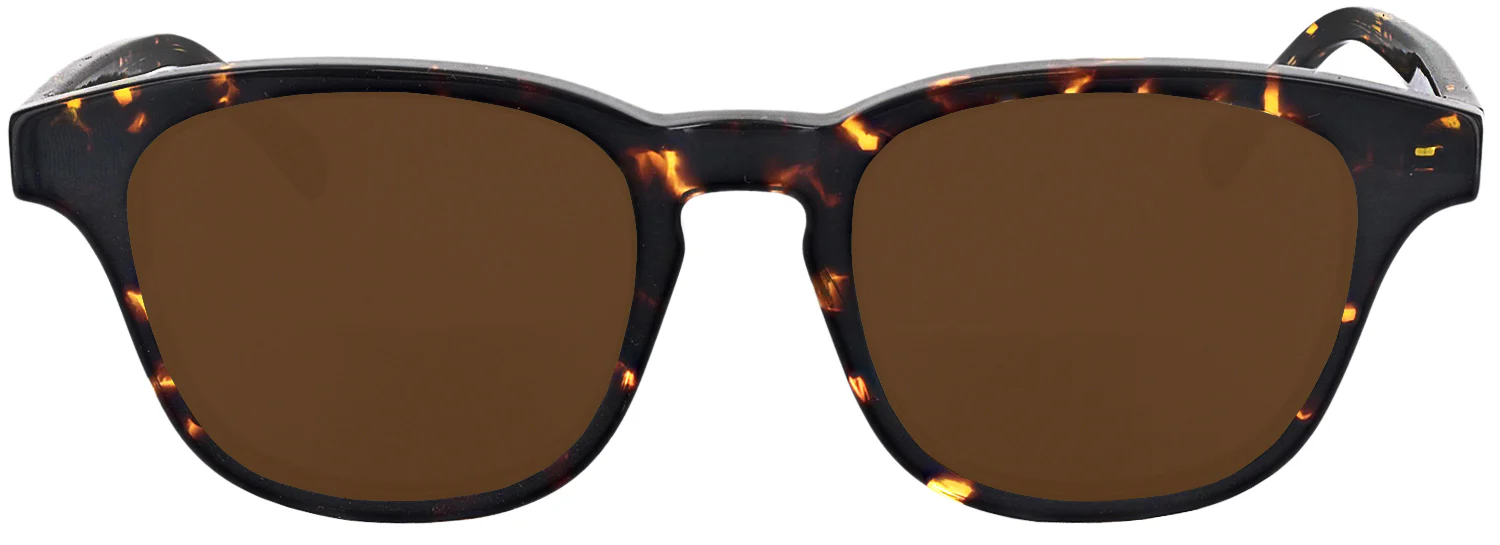 Millicent Bryce 158 Progressive No Line Reading Sunglasses - Image 10
