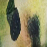 Monet Single Vision Full Frame - Image 13
