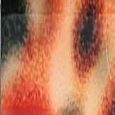 Monet Single Vision Full Frame - Image 14