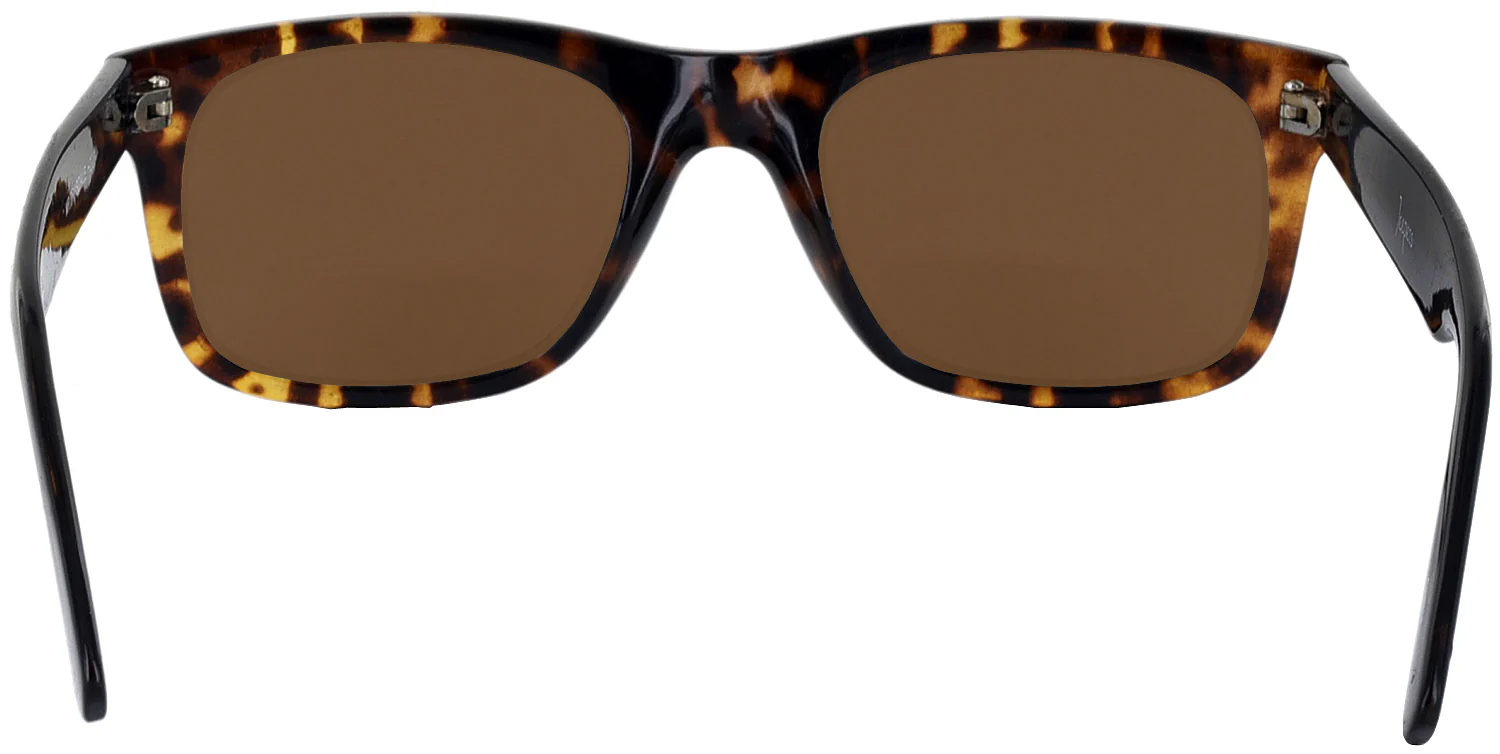 Mr. Drysdale Progressive Reading Sunglasses - Image 12