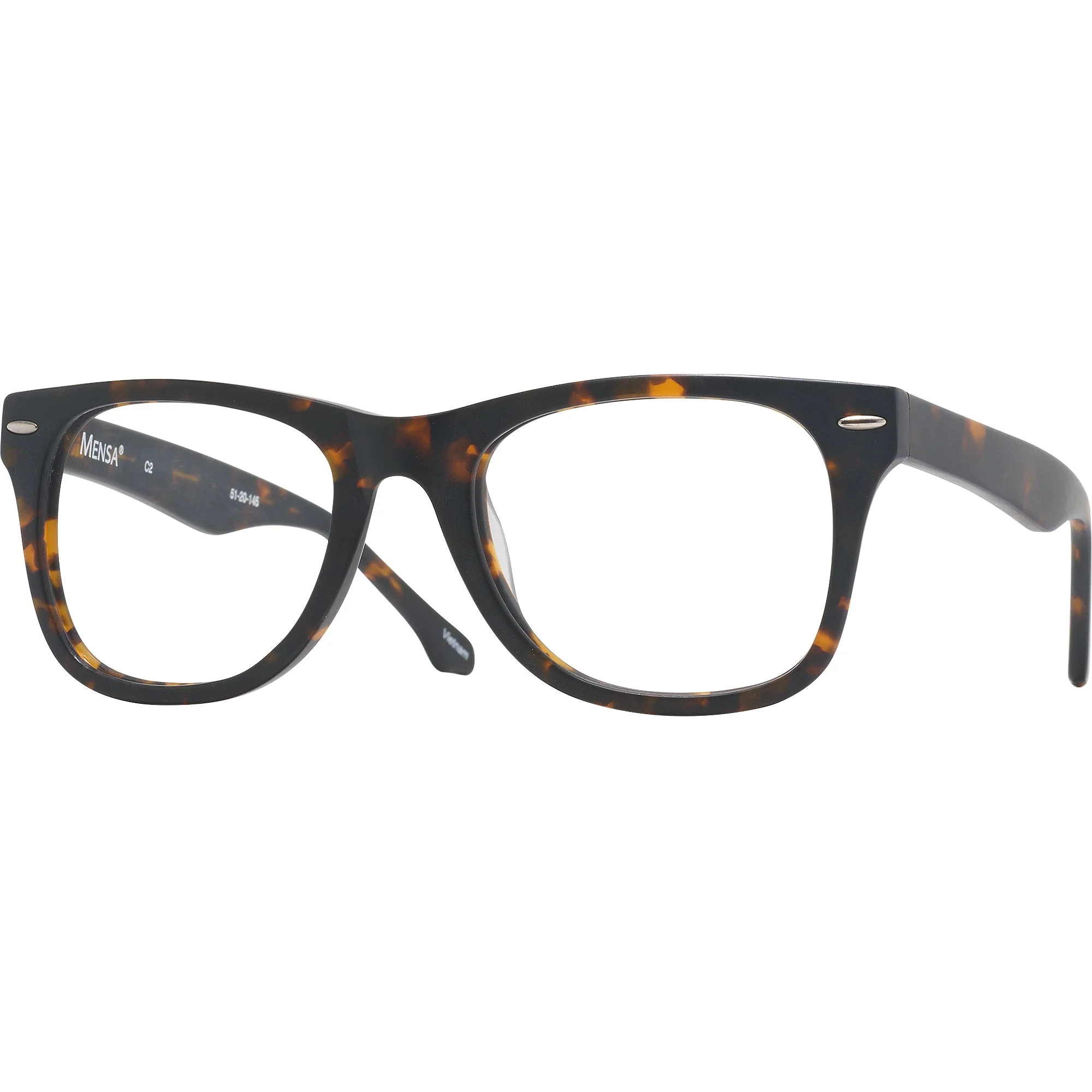 Newton (51mm) Single Vision Full Frame w/ FREE NON-GLARE - Image 7