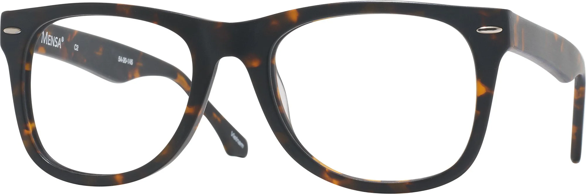 Newton (54mm) Progressive No-Lines w/ FREE NON-GLARE - Image 28