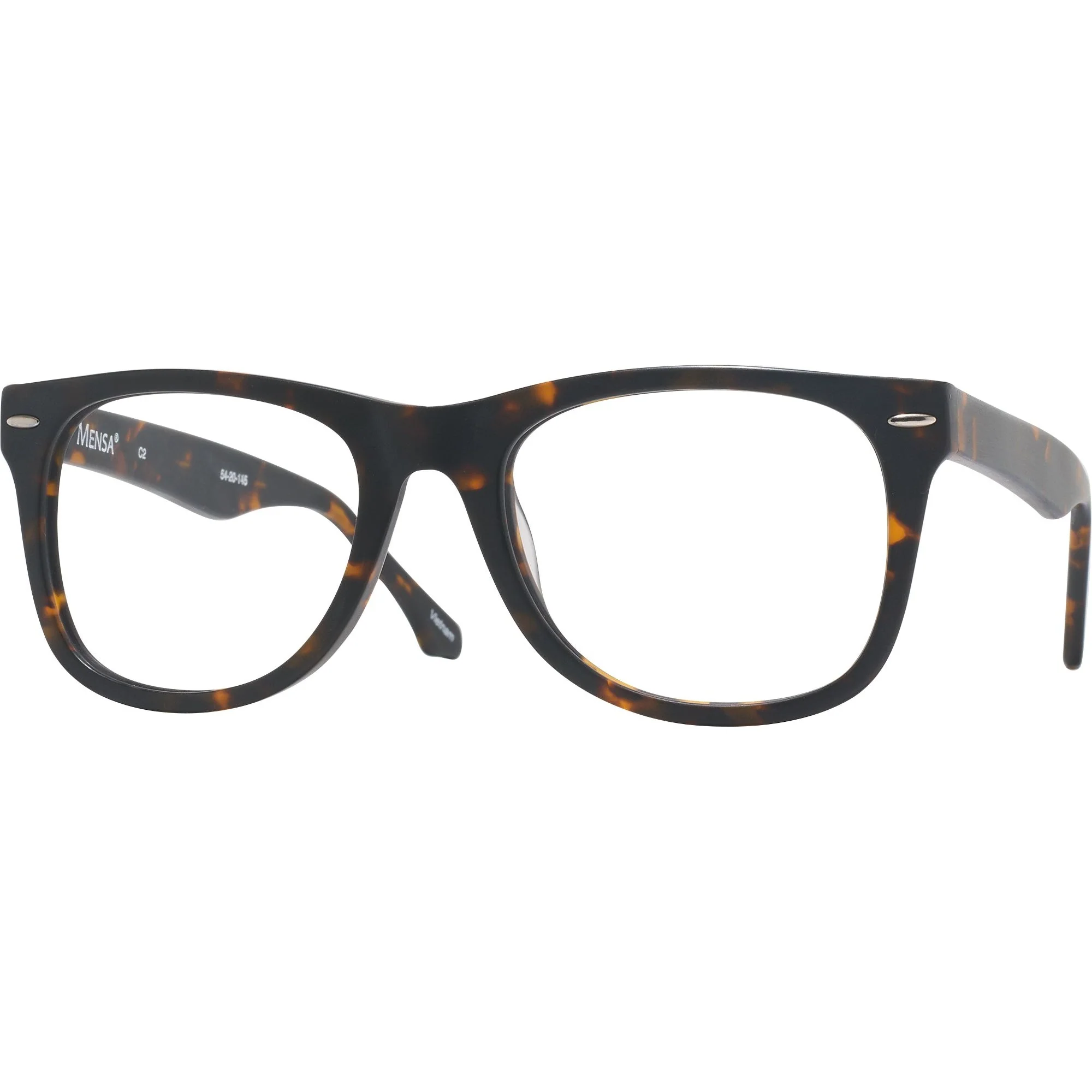 Newton (54mm) Progressive No-Lines w/ FREE NON-GLARE - Image 7