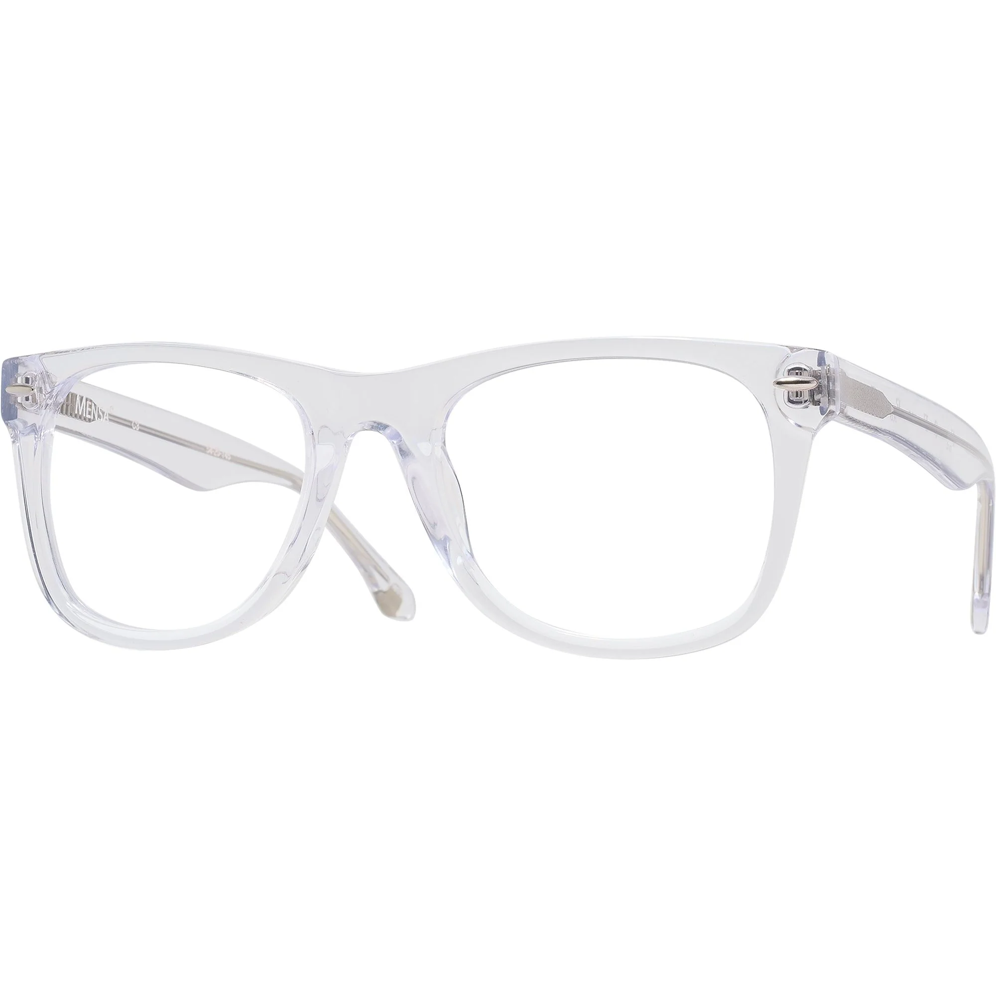 Newton (54mm) Single Vision Full Frame w/ FREE NON-GLARE - Image 31