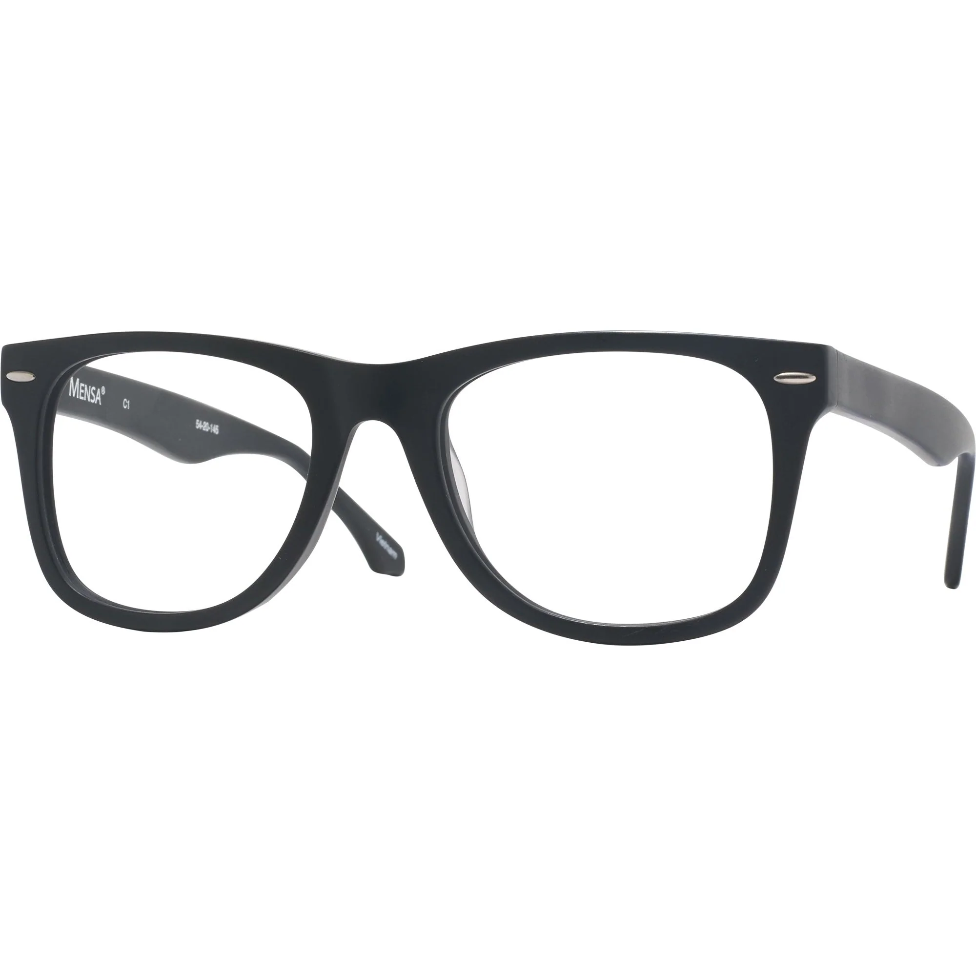Newton (54mm) Single Vision Full Frame w/ FREE NON-GLARE - Image 4