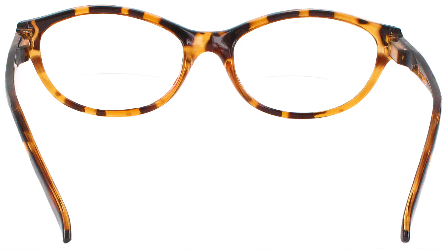 No Brainer Bifocal - Image 8