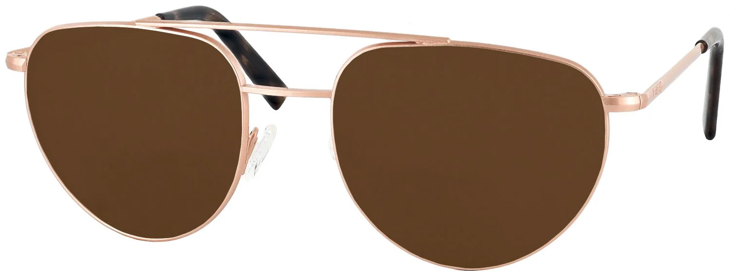 Noyes 23K Progressive Reading Sunglasses - Image 6