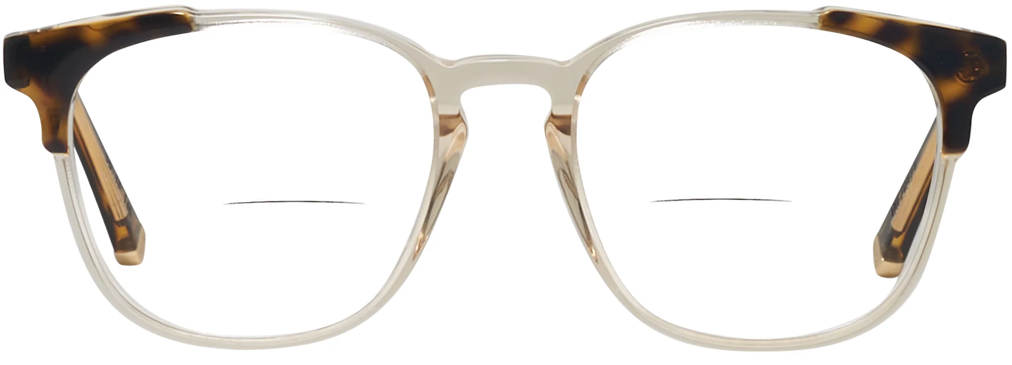 Numero 42 Bifocal - Image 6