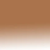 Pioneer w/ Gradient Bifocal Reading Sunglasses - Image 29