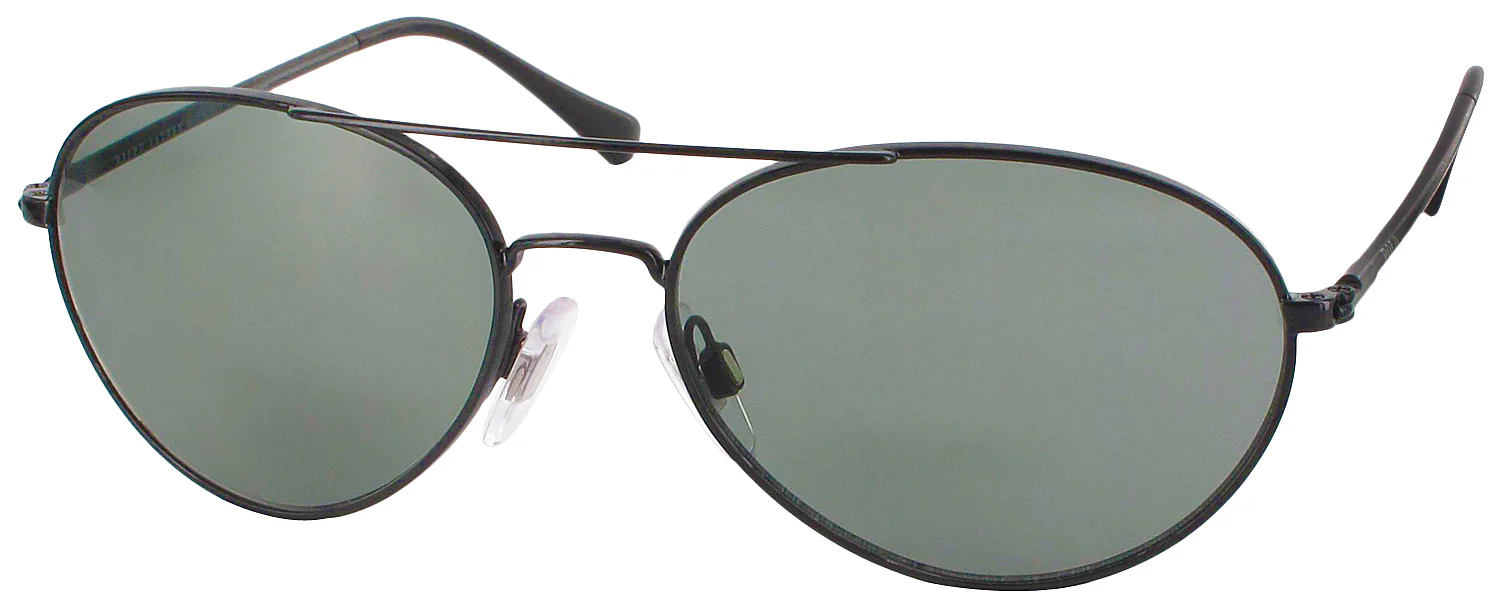 Polo Ralph Lauren 3019 Progressive No Line Reading Sunglasses